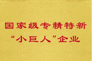 長隆科技入選第四批 國家級專精特新“小巨人”企業(yè)